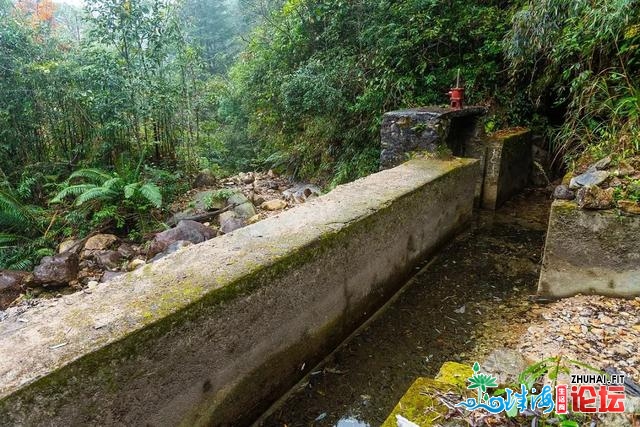 初探广东岩坑山，正在北风冻雨浓雾中一败涂地