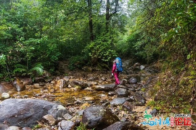 初探广东岩坑山，正在北风冻雨浓雾中一败涂地