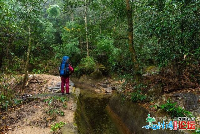 初探广东岩坑山，正在北风冻雨浓雾中一败涂地