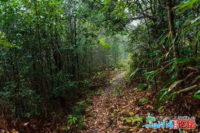 初探广东岩坑山，正在北风冻雨浓雾中一败涂地