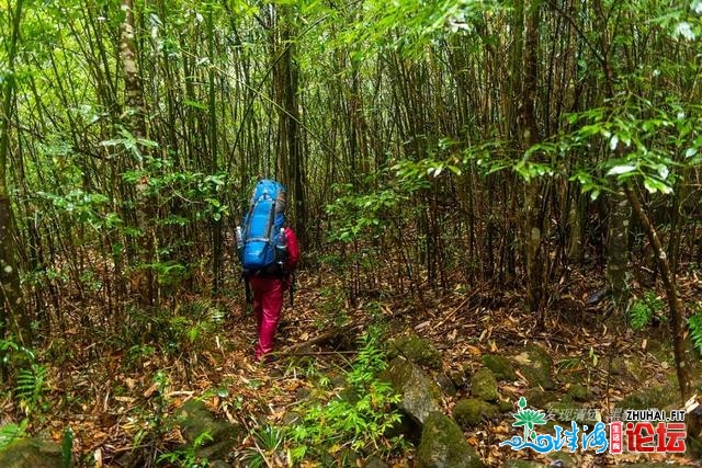 初探广东岩坑山，正在北风冻雨浓雾中一败涂地