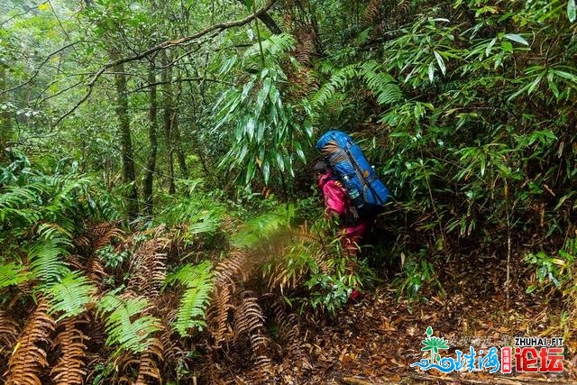 初探广东岩坑山，正在北风冻雨浓雾中一败涂地