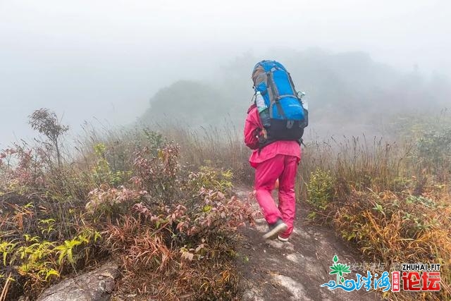 初探广东岩坑山，正在北风冻雨浓雾中一败涂地