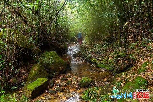 初探广东岩坑山，正在北风冻雨浓雾中一败涂地