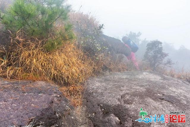 初探广东岩坑山，正在北风冻雨浓雾中一败涂地