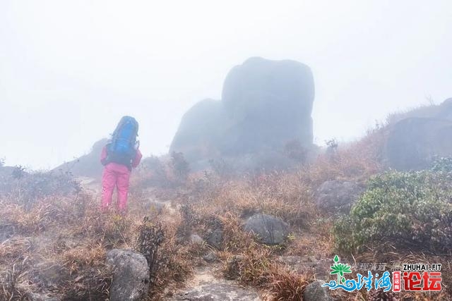 初探广东岩坑山，正在北风冻雨浓雾中一败涂地