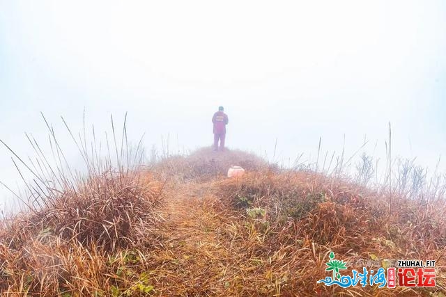 初探广东岩坑山，正在北风冻雨浓雾中一败涂地