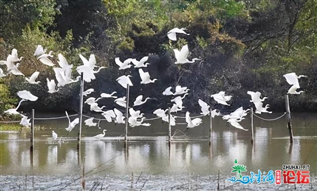 明星航路返来了！海上看澳门，去吗？