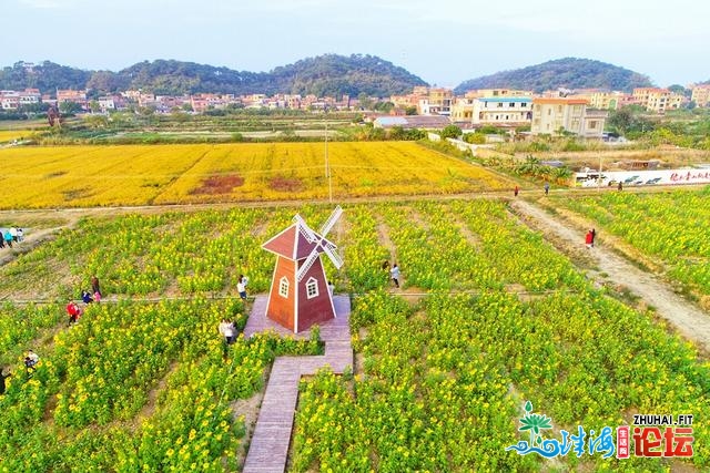 佛山三火：西江十里绘廊获评“广东斑斓村落佳构道路”