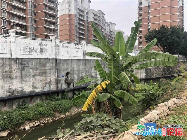 北乡街讲多措并举，画便火浑岸绿景好新绘卷