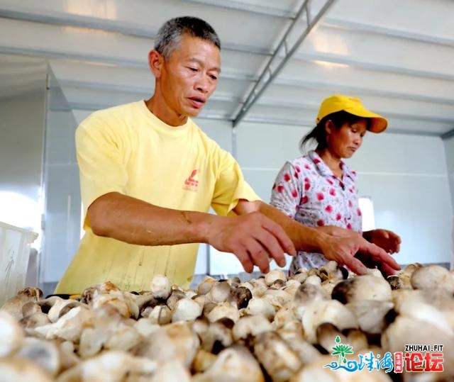 回视十三五 喜看新变革 | 齐北：特征“硒餐”收抵粤港澳...