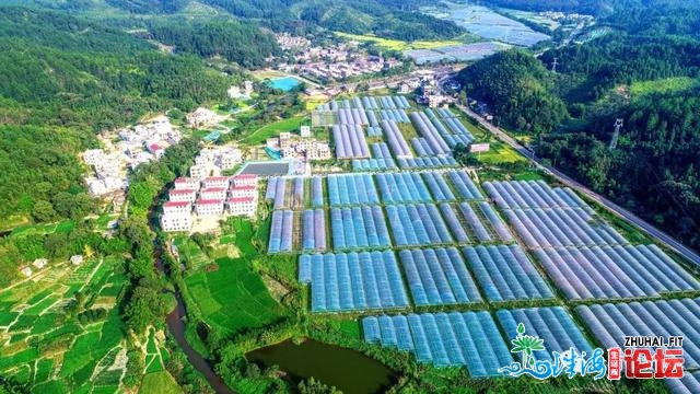 回视十三五 喜看新变革 | 齐北：特征“硒餐”收抵粤港澳...