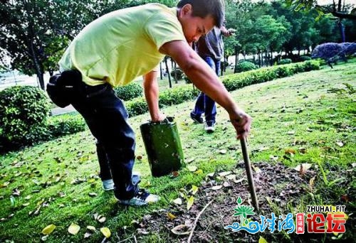 肇庆齐市白水蚁发作里积9万余亩 次要发作正在德庆下要四会...