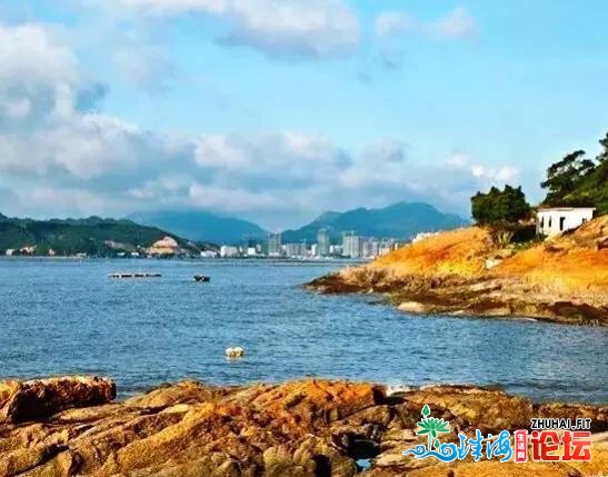 珠海最有糊口气味的小岛：墙上展谦死蚝，人称小饱浪屿！