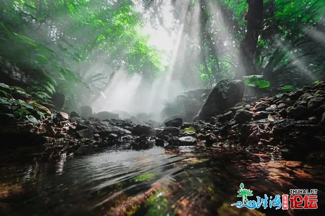 天铁中转！深圳最新开放的尽好景面，深谷稀林如临瑶池