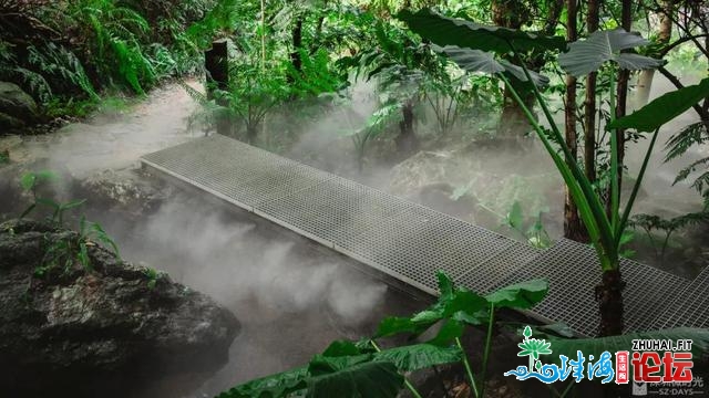 天铁中转！深圳最新开放的尽好景面，深谷稀林如临瑶池