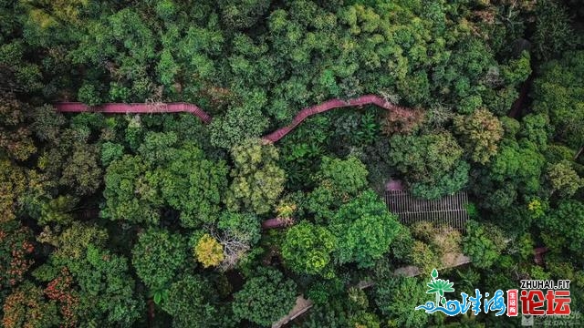 天铁中转！深圳最新开放的尽好景面，深谷稀林如临瑶池