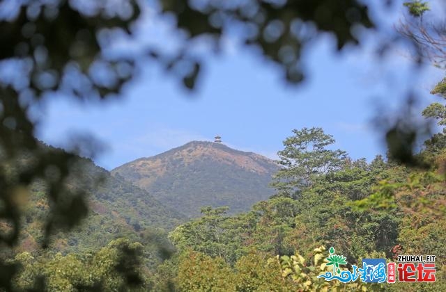 赏好景叹好食！浑溪旅游推介暨除夕爬山举动启动