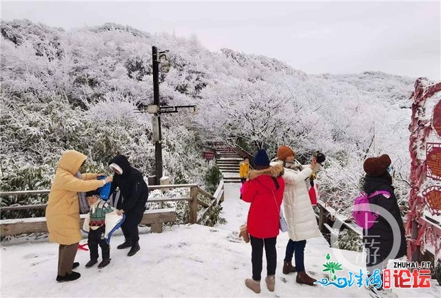 好嗨！金佛山银拆素裹 市平易近上山赏雪不雅灯胆温泉