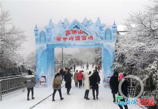 好嗨！金佛山银拆素裹 市平易近上山赏雪不雅灯胆温泉