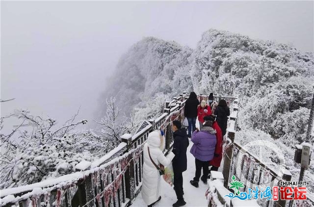 好嗨！金佛山银拆素裹 市平易近上山赏雪不雅灯胆温泉