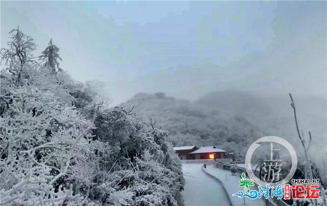 好嗨！金佛山银拆素裹 市平易近上山赏雪不雅灯胆温泉