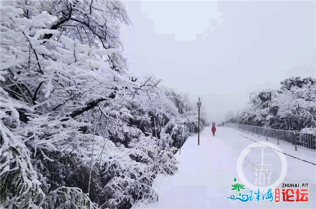 好嗨！金佛山银拆素裹 市平易近上山赏雪不雅灯胆温泉