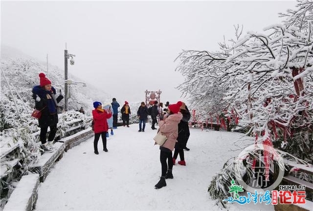 好嗨！金佛山银拆素裹 市平易近上山赏雪不雅灯胆温泉