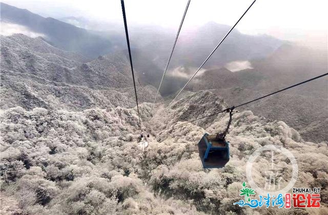 好嗨！金佛山银拆素裹 市平易近上山赏雪不雅灯胆温泉