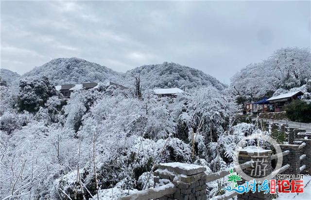 好嗨！金佛山银拆素裹 市平易近上山赏雪不雅灯胆温泉