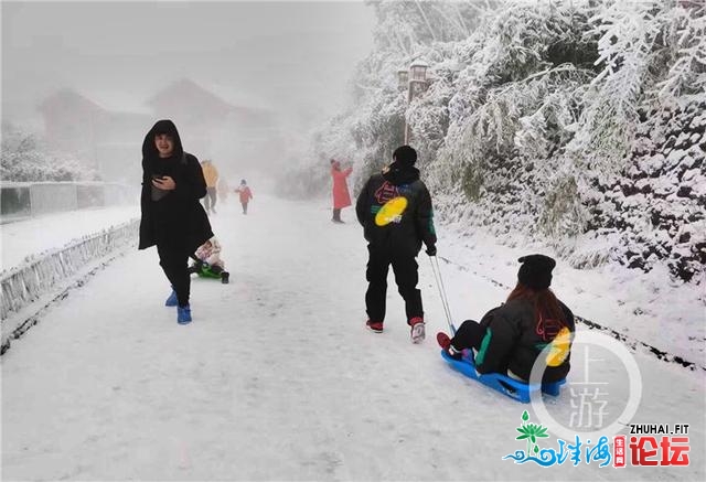 好嗨！金佛山银拆素裹 市平易近上山赏雪不雅灯胆温泉