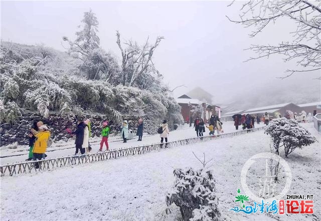 好嗨！金佛山银拆素裹 市平易近上山赏雪不雅灯胆温泉