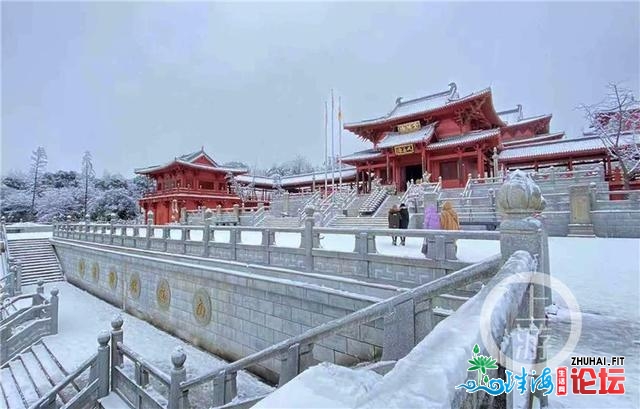 好嗨！金佛山银拆素裹 市平易近上山赏雪不雅灯胆温泉