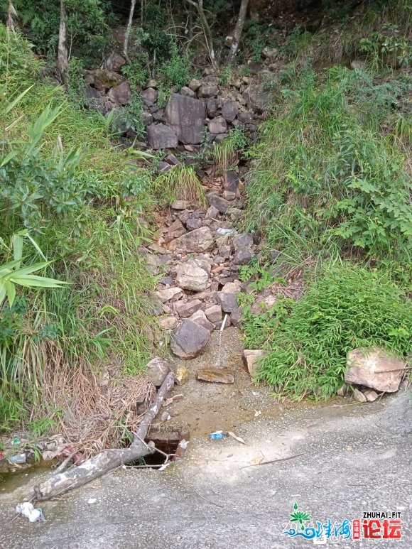 我经常开摩托上广东省惠州市惠阳区新圩镇红田村黄日坑林场山顶玩-4.jpg