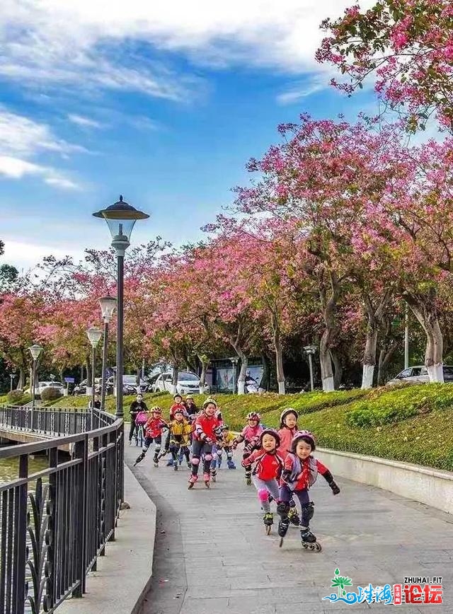 花海绿讲，让肇庆成为下一个赏花的武汉