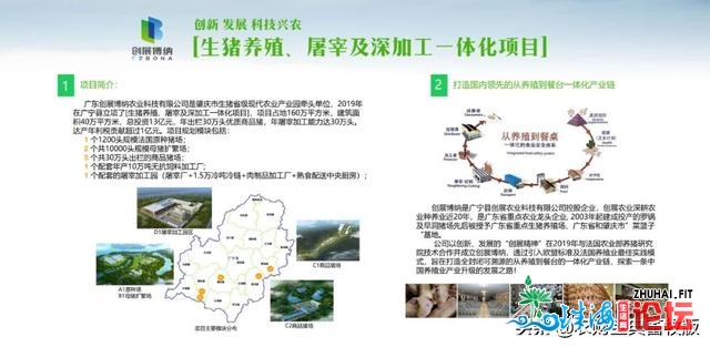 20人养6万头猪！肇庆市死猪财产园理论“饲料不过卖，屠宰没有从中购猪”| 财产园深调研-3.jpg