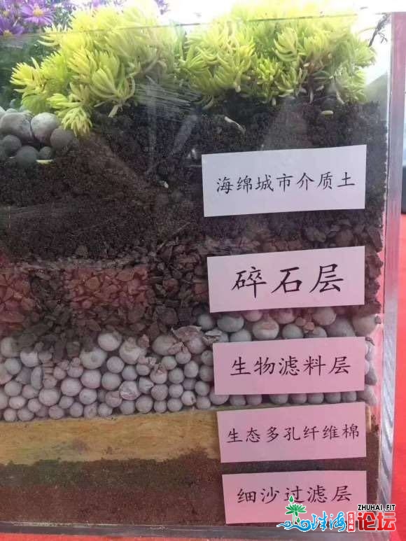 广东江门陶粒