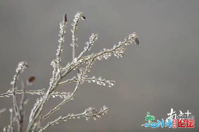 中山，5℃！广东下雪了