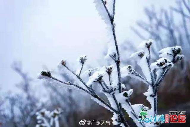 中山，5℃！广东下雪了