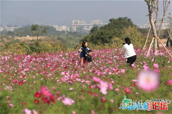 年夜发作！惠州2020年居然建了那么多路