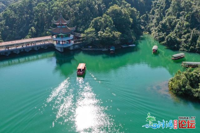 星湖那段“明星绿讲”齐新晋级！齐市乏计建立绿讲达……