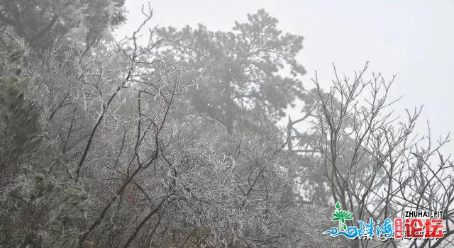 来日诰日再降温！广东多公开雪！珠海气候将……