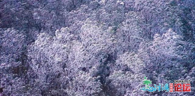 中山来日诰日再降温！广东多公开雪，-5℃