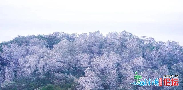 中山来日诰日再降温！广东多公开雪，-5℃