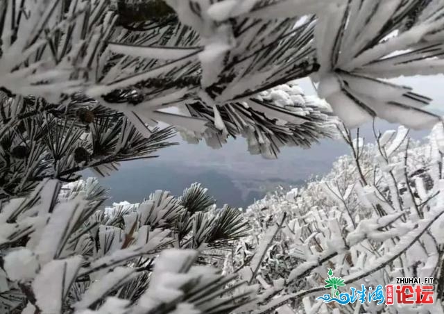 中山来日诰日再降温！广东多公开雪，-5℃