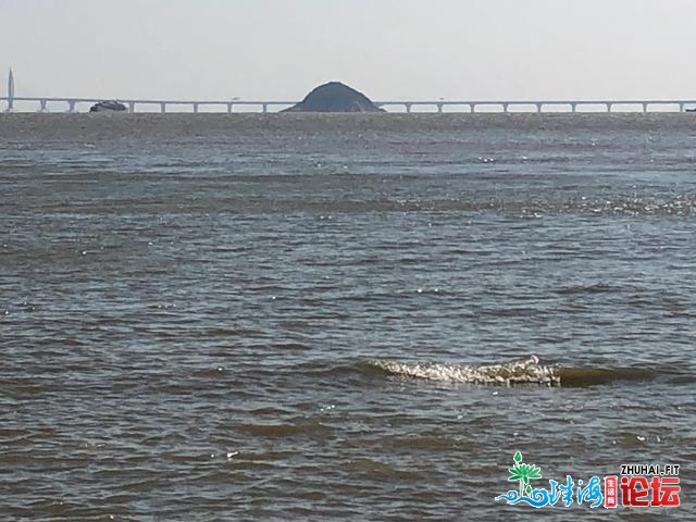 冬季珠海游（一）家狸岛