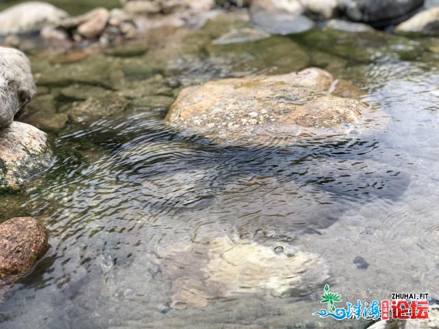 惠州那3年夜温泉，土得失落渣，各人却喜好来！缘故原由：实温泉...