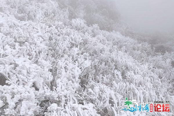 广东周终阳热持续“正在线”齐省将现年夜范畴高温战冰冻