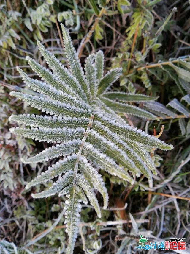 结霜了！古朝中山最低0.4℃！史上最热秋节要去？本相是...