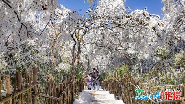 冬游重庆，金佛山“北国雪本”好景已上线